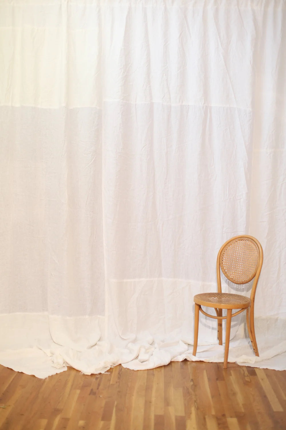 BD001 White Rabbit