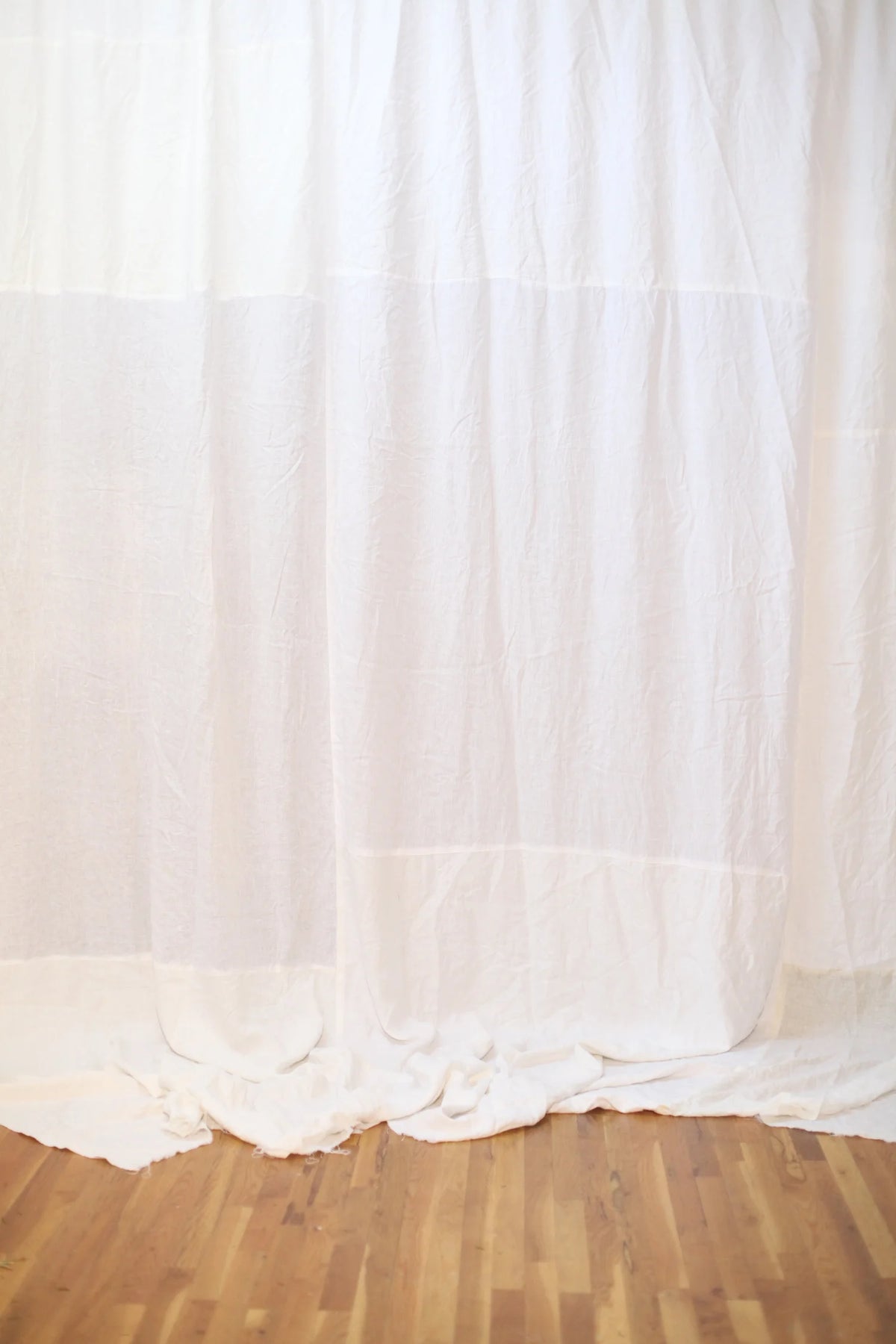 BD001 White Rabbit