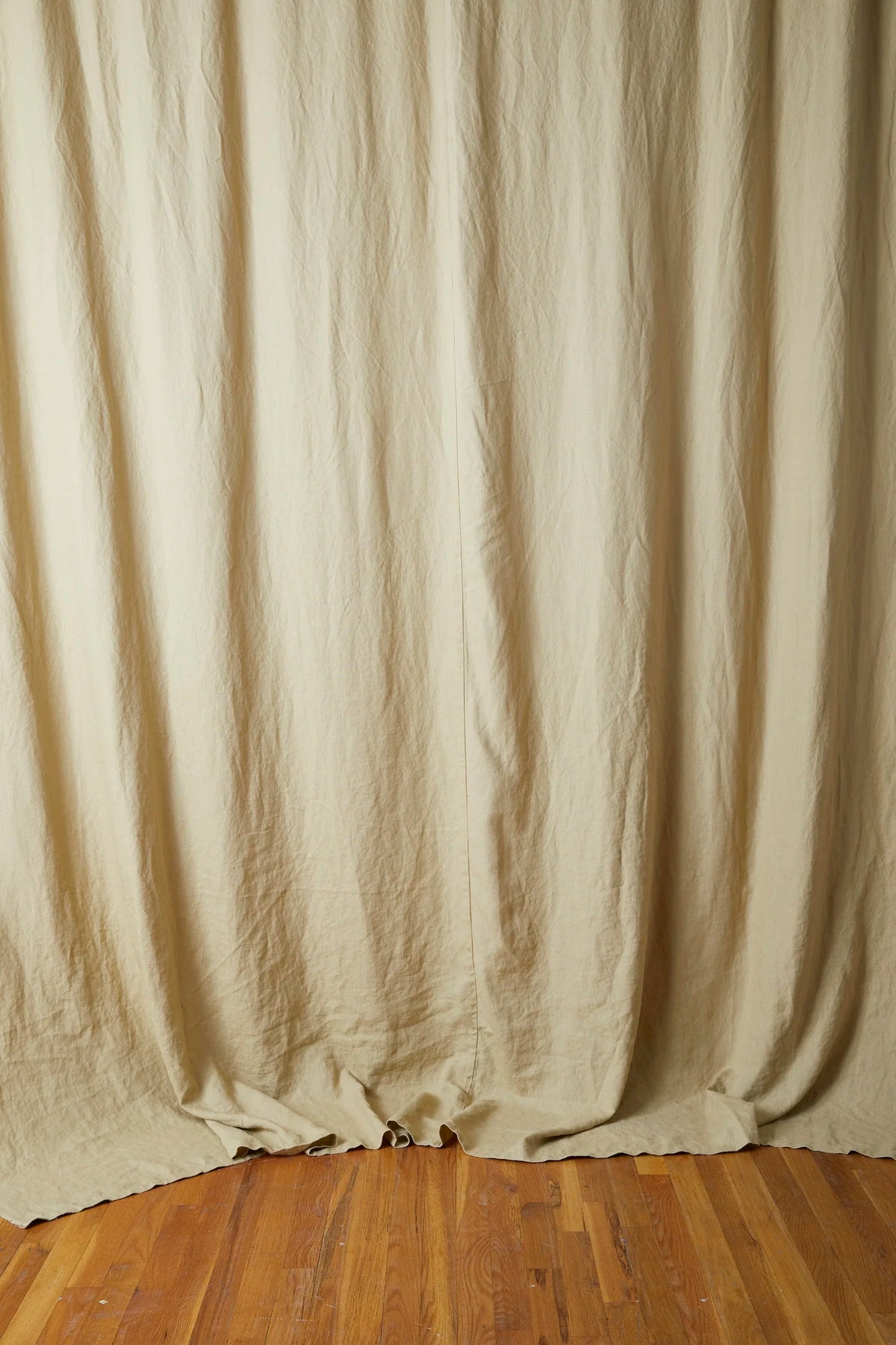 BD601 Chamois